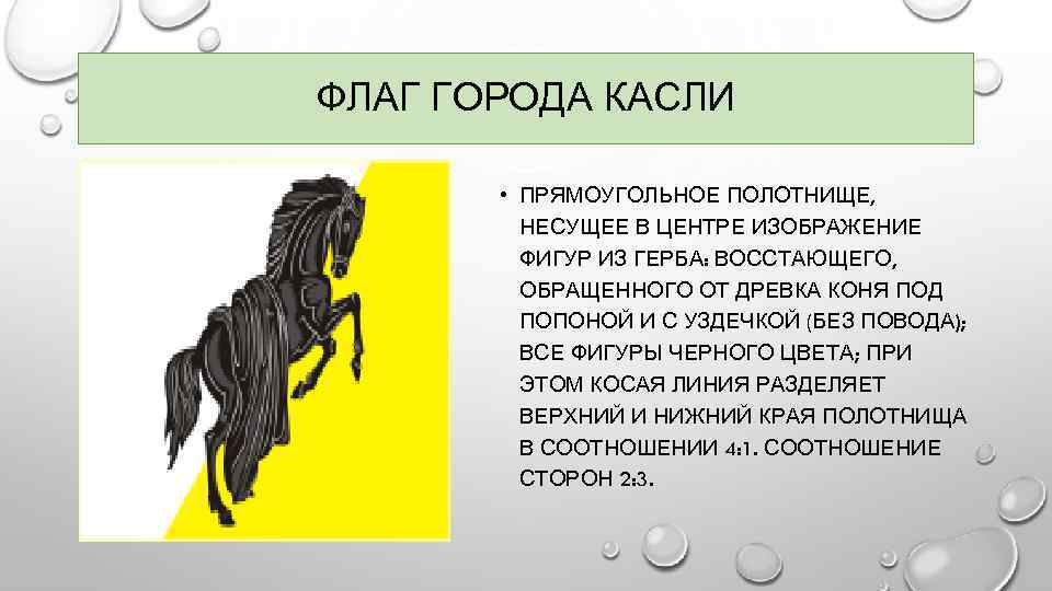 ФЛАГ ГОРОДА КАСЛИ • ПРЯМОУГОЛЬНОЕ ПОЛОТНИЩЕ, НЕСУЩЕЕ В ЦЕНТРЕ ИЗОБРАЖЕНИЕ ФИГУР ИЗ ГЕРБА: ВОССТАЮЩЕГО,