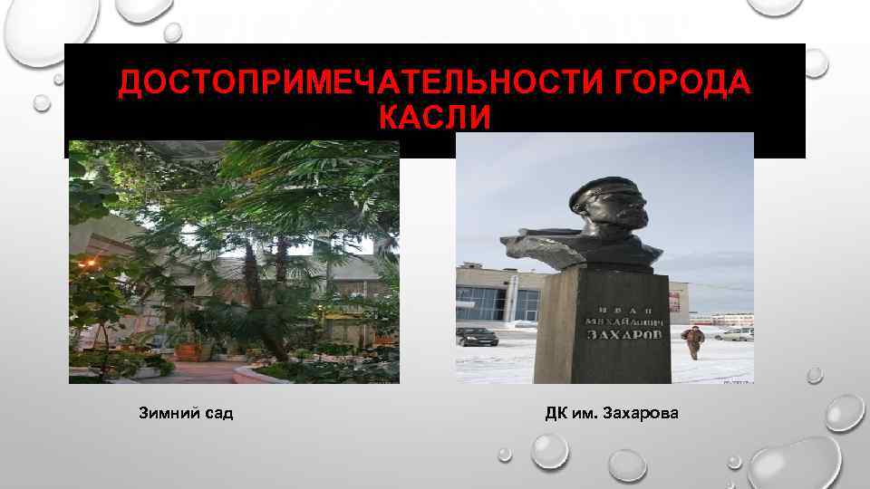 ДОСТОПРИМЕЧАТЕЛЬНОСТИ ГОРОДА КАСЛИ Зимний сад ДК им. Захарова 