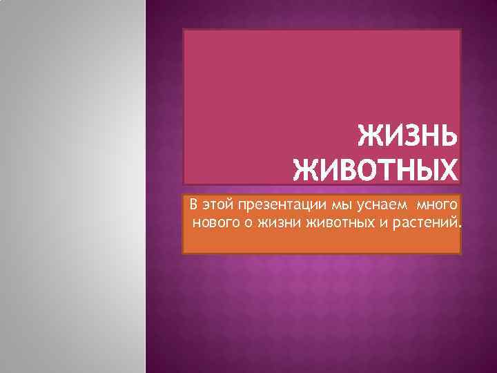 В этой презентации мы уснаем много нового о жизни животных и растений. 