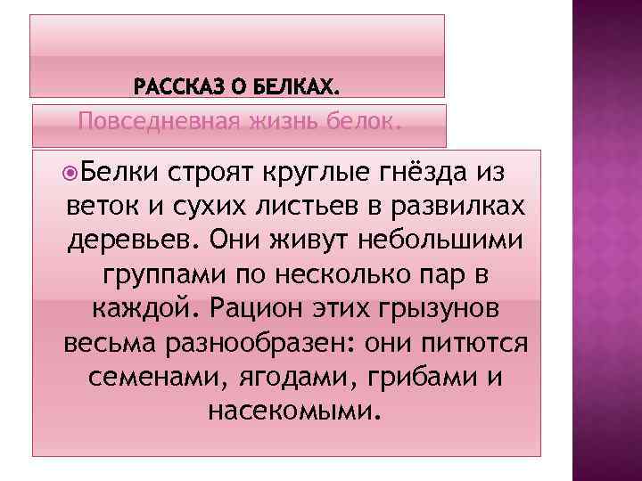 Повседневная жизнь белок. Белки строят круглые гнёзда из веток и сухих листьев в развилках