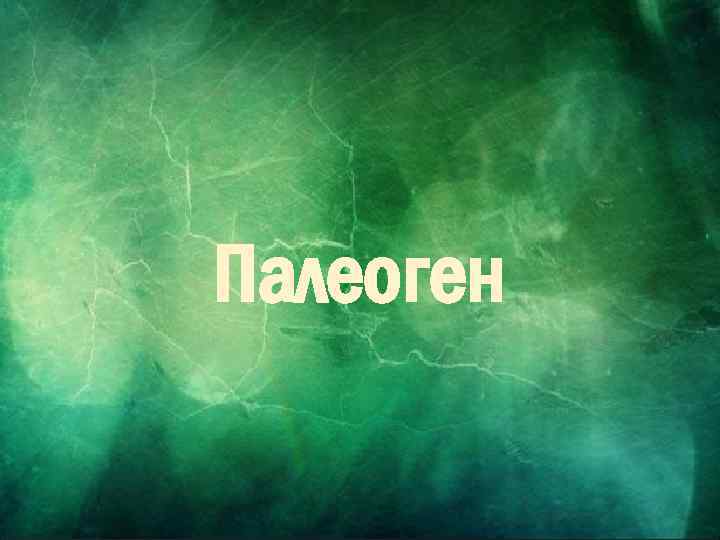 Палеоген 5 klass. net 