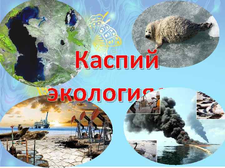 Каспий экологиясы 