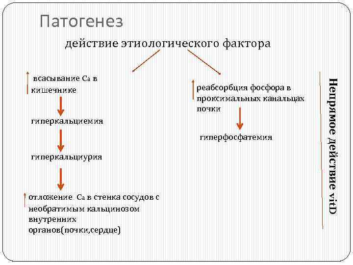 Схема патогенеза рахита