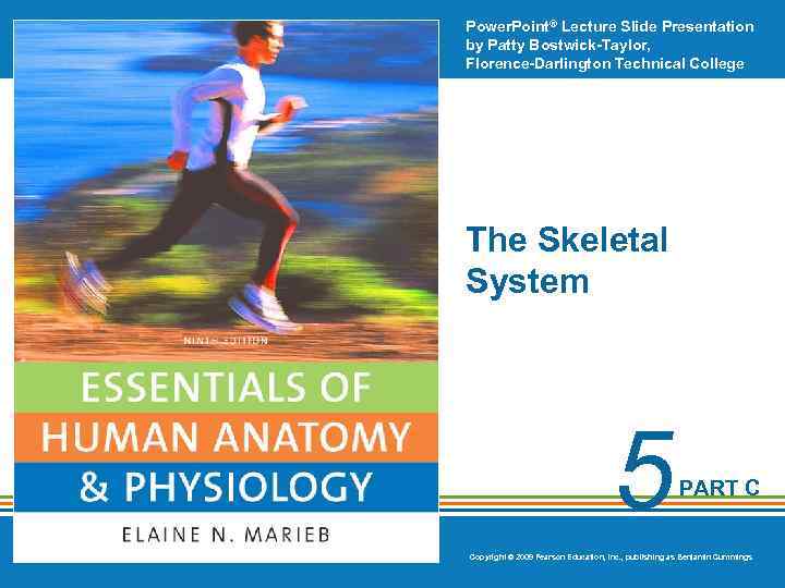 Power. Point® Lecture Slide Presentation by Patty Bostwick-Taylor, Florence-Darlington Technical College The Skeletal System