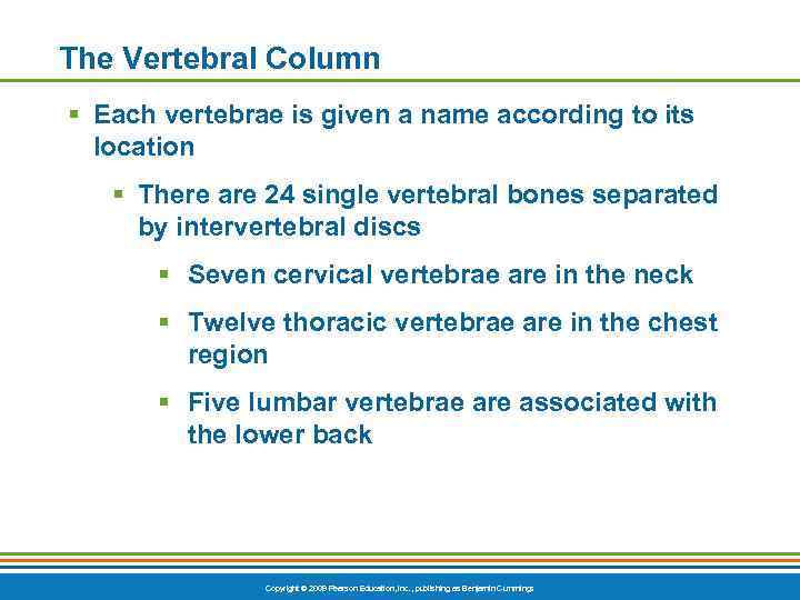 The Vertebral Column § Each vertebrae is given a name according to its location