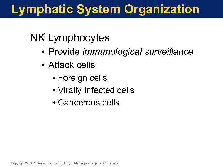 Lymphatic System Organization NK Lymphocytes • Provide immunological surveillance • Attack cells • Foreign