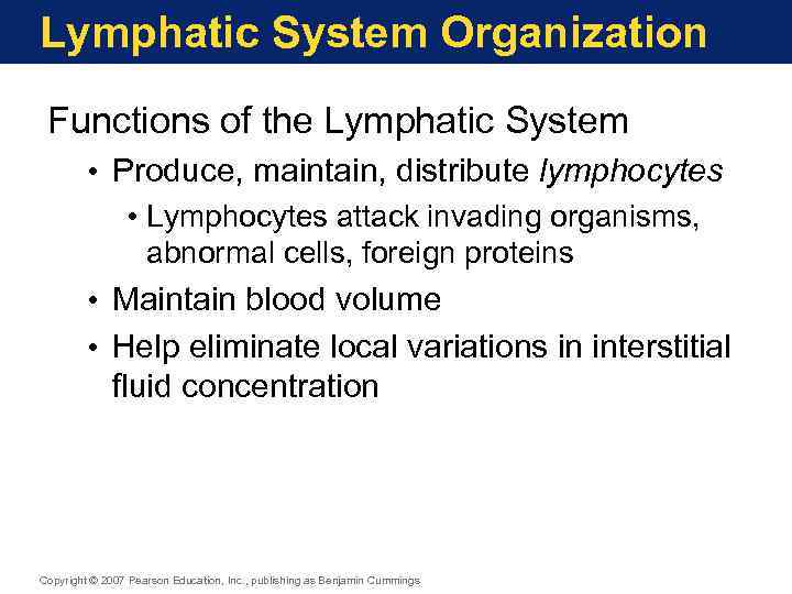 Lymphatic System Organization Functions of the Lymphatic System • Produce, maintain, distribute lymphocytes •