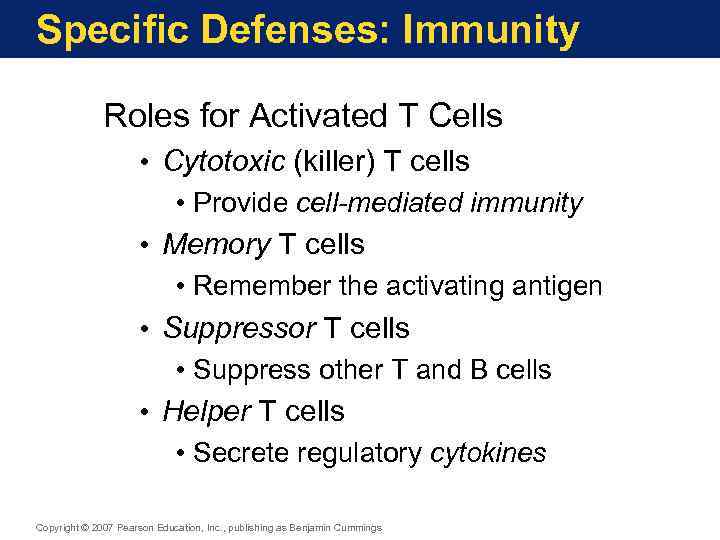 Specific Defenses: Immunity Roles for Activated T Cells • Cytotoxic (killer) T cells •