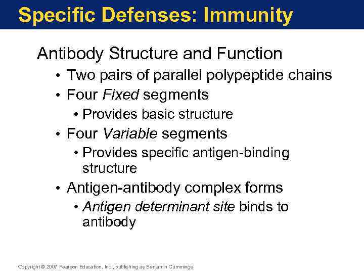 Specific Defenses: Immunity Antibody Structure and Function • Two pairs of parallel polypeptide chains