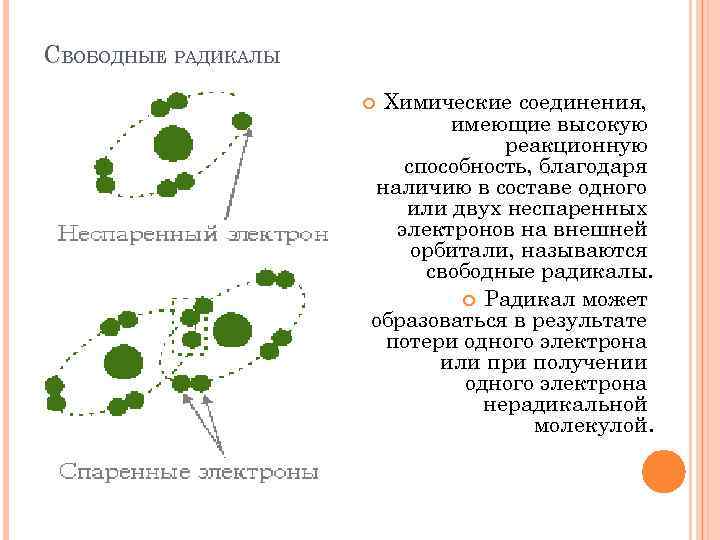 СВОБОДНЫЕ РАДИКАЛЫ Химические соединения, имеющие высокую реакционную способность, благодаря наличию в составе одного или