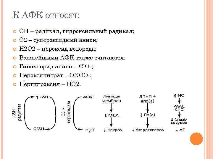 К АФК ОТНОСЯТ: ОН – радикал, гидроксильный радикал; О 2 – супероксидный анион; Н