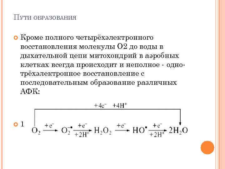 ПУТИ ОБРАЗОВАНИЯ Кроме полного четырёхэлектронного восстановления молекулы О 2 до воды в дыхательной цепи
