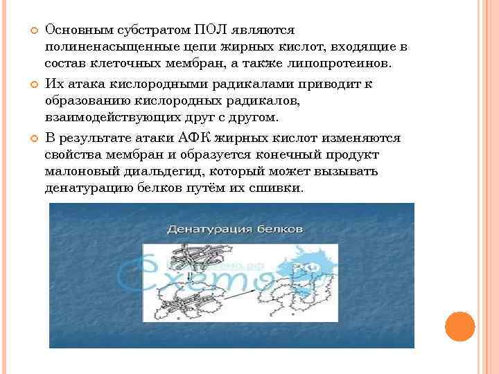  Основным субстратом ПОЛ являются полиненасыщенные цепи жирных кислот, входящие в состав клеточных мембран,