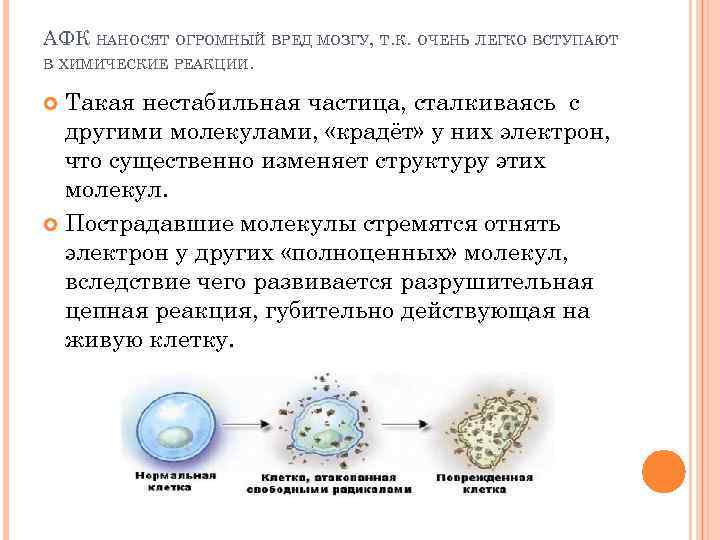 АФК НАНОСЯТ ОГРОМНЫЙ ВРЕД МОЗГУ, Т. К. ОЧЕНЬ ЛЕГКО ВСТУПАЮТ В ХИМИЧЕСКИЕ РЕАКЦИИ. Такая
