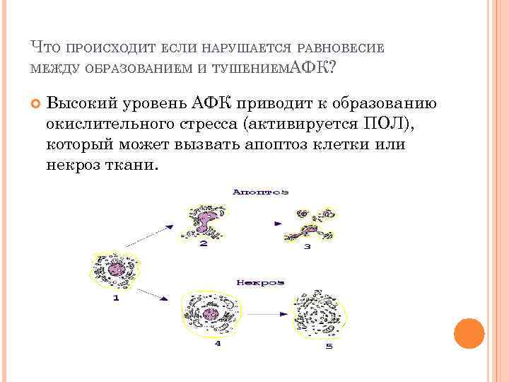 ЧТО ПРОИСХОДИТ ЕСЛИ НАРУШАЕТСЯ РАВНОВЕСИЕ МЕЖДУ ОБРАЗОВАНИЕМ И ТУШЕНИЕМАФК? Высокий уровень АФК приводит к