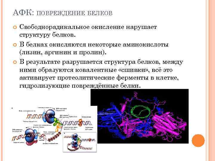 Свободнорадикальное окисление схема