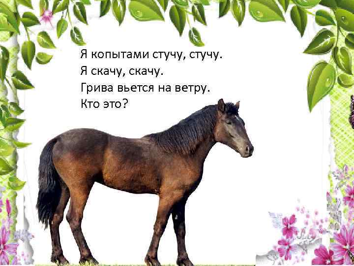 Я копытами стучу, стучу. Я скачу, скачу. Грива вьется на ветру. Кто это? 