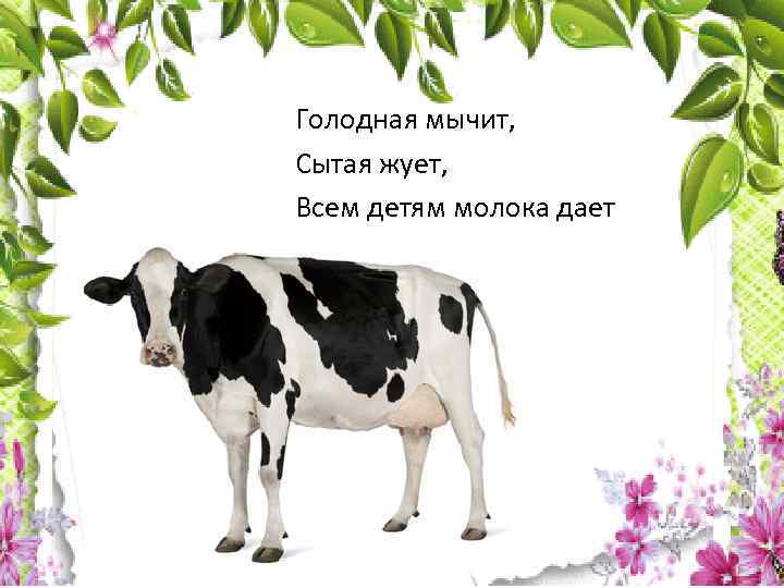 Голодная мычит, Сытая жует, Всем детям молока дает 