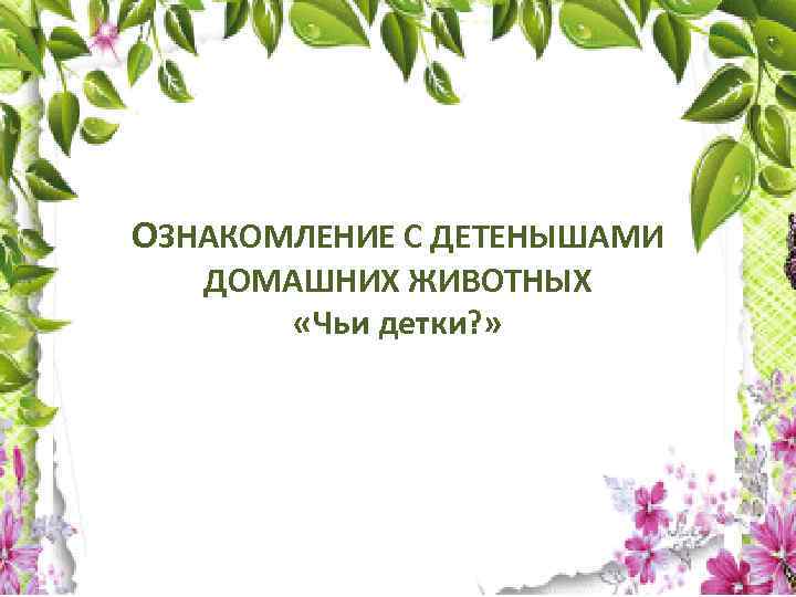 ОЗНАКОМЛЕНИЕ С ДЕТЕНЫШАМИ ДОМАШНИХ ЖИВОТНЫХ «Чьи детки? » 