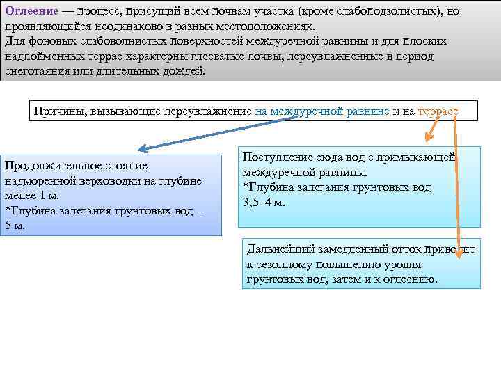 Оглеение — процесс, присущий всем почвам участка (кроме слабоподзолистых), но проявляющийся неодинаково в разных