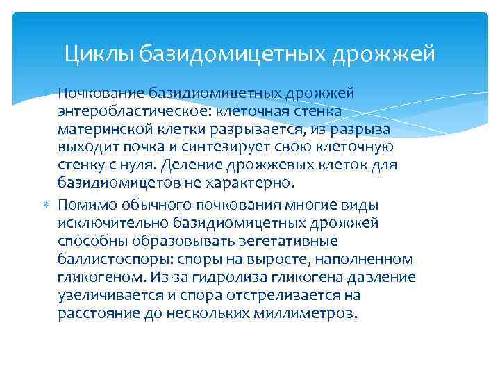 Циклы базидомицетных дрожжей Почкование базидиомицетных дрожжей энтеробластическое: клеточная стенка материнской клетки разрывается, из разрыва