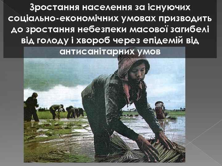 Зростання населення за існуючих соціально-економічних умовах призводить до зростання небезпеки масової загибелі від голоду