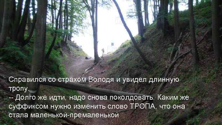 Справился со страхом Володя и увидел длинную тропу. -- Долго же идти, надо снова