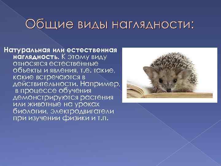 Общие виды наглядности: Натуральная или естественная наглядность. К этому виду относятся естественные объекты и