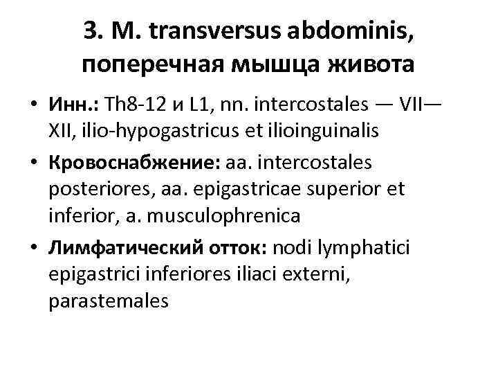 3. M. transversus abdominis, поперечная мышца живота • Инн. : Th 8 -12 и