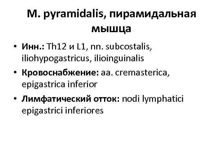 М. pyramidalis, пирамидальная мышца • Инн. : Th 12 и L 1, nn. subcostalis,