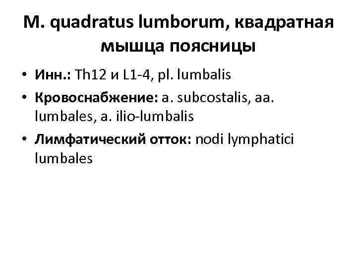 М. quadratus lumborum, квадратная мышца поясницы • Инн. : Th 12 и L 1