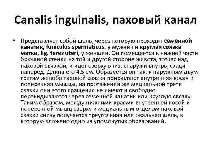 Canalis inguinalis, паховый канал • Представляет собой щель, через которую проходит семенной канатик, funiculus