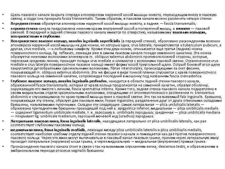  • • Щель пахового канала закрыта спереди апоневрозом наружной косой мышцы живота, переходящим