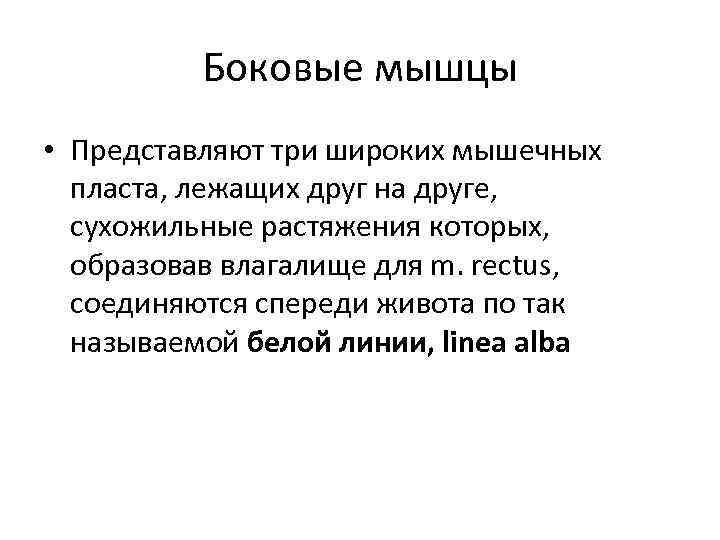 Боковые мышцы • Представляют три широких мышечных пласта, лежащих друг на друге, сухожильные растяжения