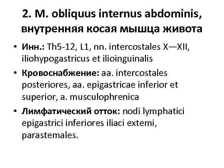 2. M. obliquus internus abdominis, внутренняя косая мышца живота • Инн. : Th 5