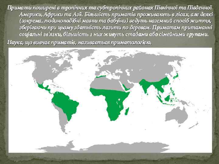 Примати поширені в тропічних та субтропічних районах Північної та Південної Америки, Африки та Азії.