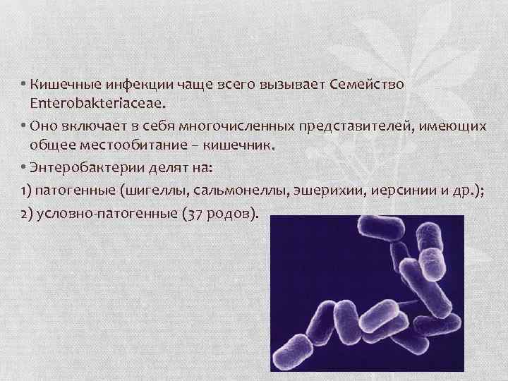  • Кишечные инфекции чаще всего вызывает Семейство Enterobakteriaceae. • Оно включает в себя