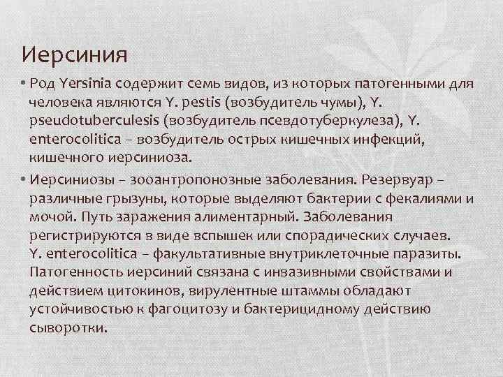Иерсиния • Род Yersinia содержит семь видов, из которых патогенными для человека являются Y.