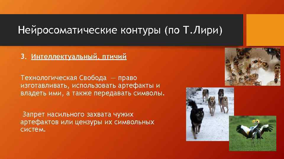 Нейросоматические контуры (по Т. Лири) 3. Интеллектуальный, птичий Технологическая Свобода — право изготавливать, использовать