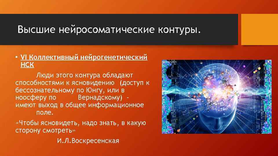 Высшие нейросоматические контуры. • VI Коллективный нейрогенетический НСК Люди этого контура обладают способностями к