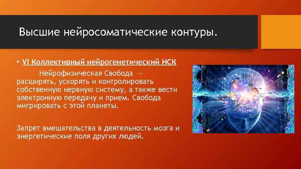 Высшие нейросоматические контуры. • VI Коллективный нейрогенетический НСК Нейрофизическая Свобода — расширять, ускорять и