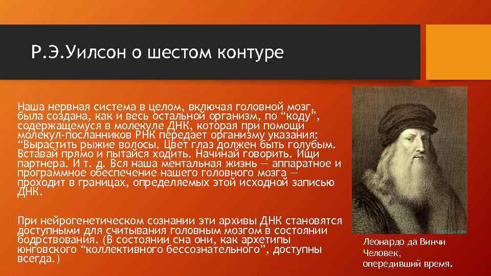 Р. Э. Уилсон о шестом контуре Наша нервная система в целом, включая головной мозг,