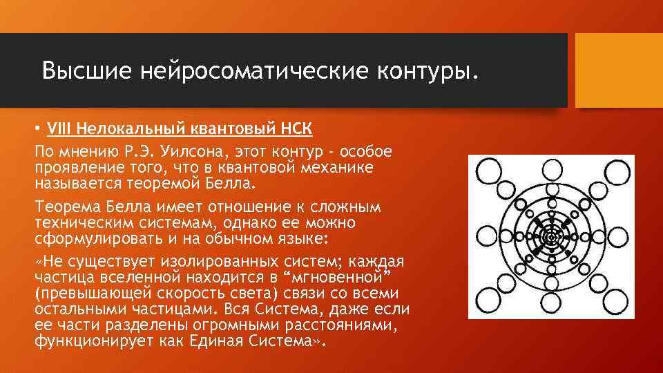 Высшие нейросоматические контуры. • VIII Нелокальный квантовый НСК По мнению Р. Э. Уилсона, этот