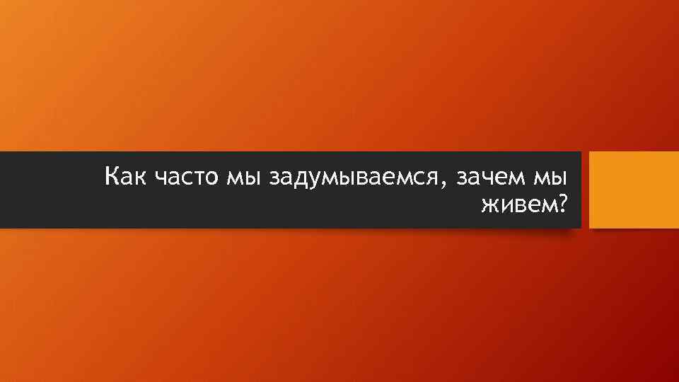 Как часто мы задумываемся, зачем мы живем? 