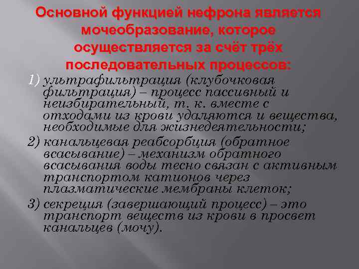 Основной функцией нефрона является мочеобразование, которое осуществляется за счёт трёх последовательных процессов: 1) ультрафильтрация