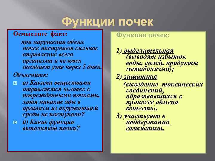 Функции почек Осмыслите факт: при нарушении обеих почек наступает сильное отравление всего организма и