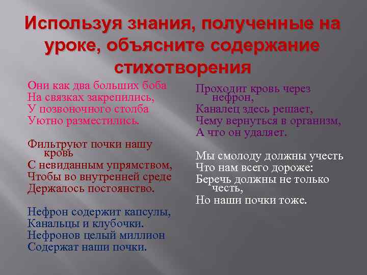 Используя знания, полученные на уроке, объясните содержание стихотворения Они как два больших боба На