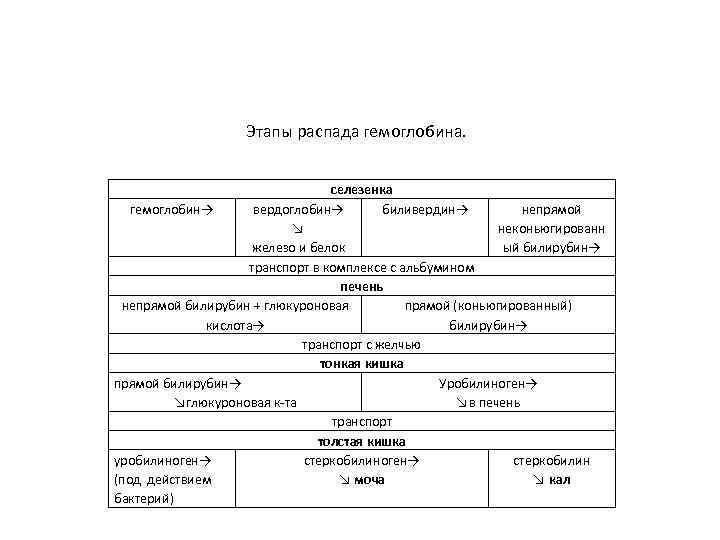 Этапы распада гемоглобина. селезенка гемоглобин→ вердоглобин→ биливердин→ непрямой ↘ неконьюгированн железо и белок ый