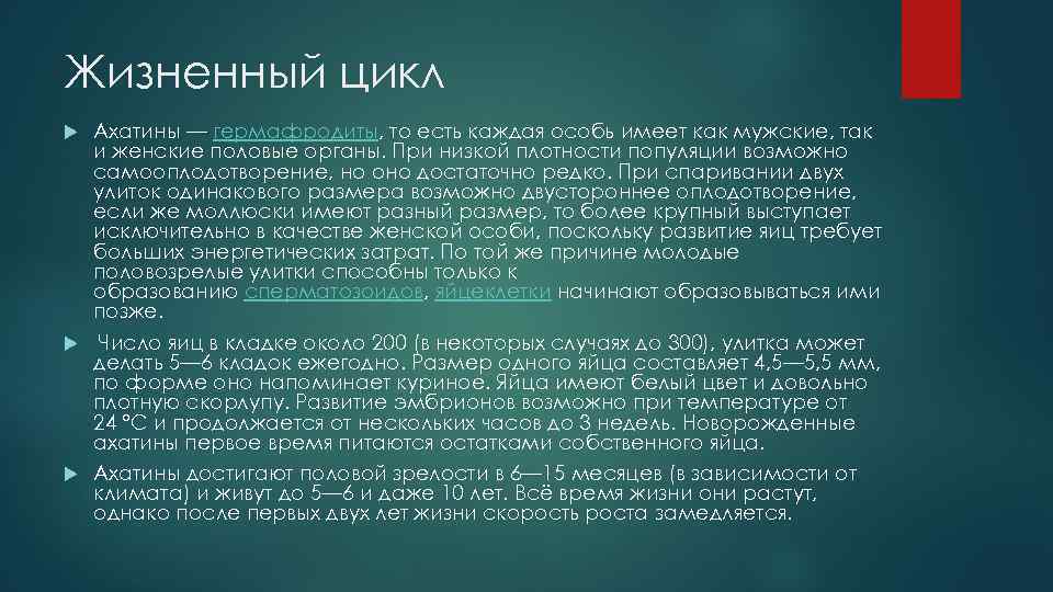 Жизненный цикл Ахатины — гермафродиты, то есть каждая особь имеет как мужские, так и