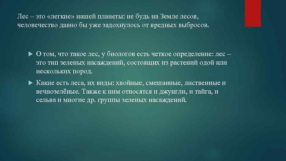 Лес – это «легкие» нашей планеты: не будь на Земле лесов, человечество давно бы